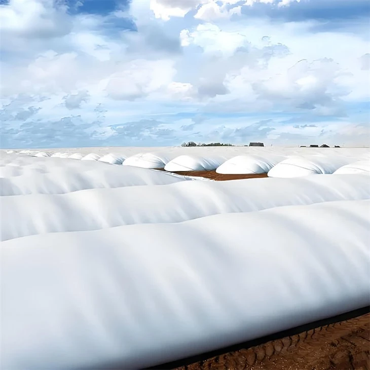 silage film (8)
